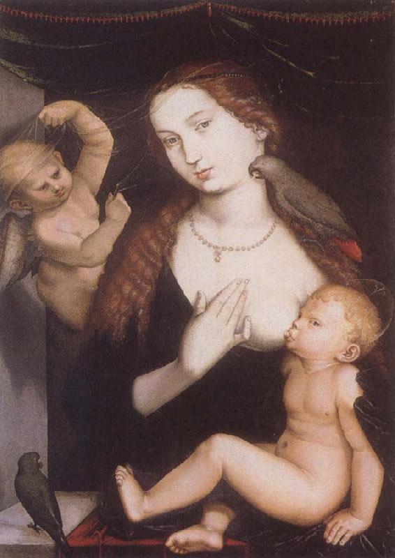 Hans Baldung Grien Virgin and Child with Parrots oil painting picture